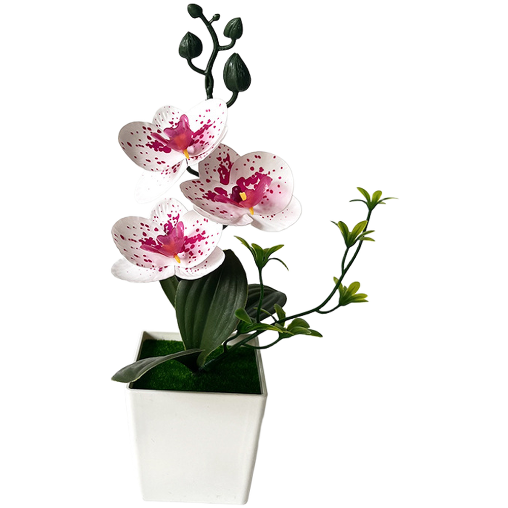 Orquídea Phalaenopsis artifici - Home Office Depot reseña y precio