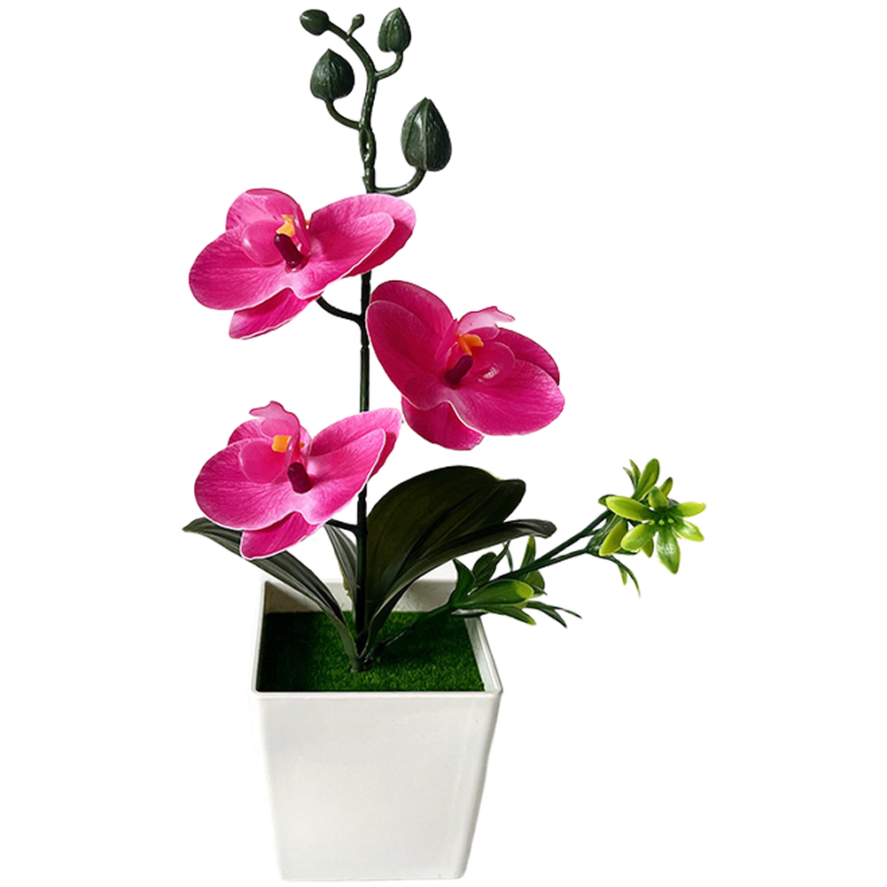 Orquídea Phalaenopsis artifici - Home Office Depot reseña y precio