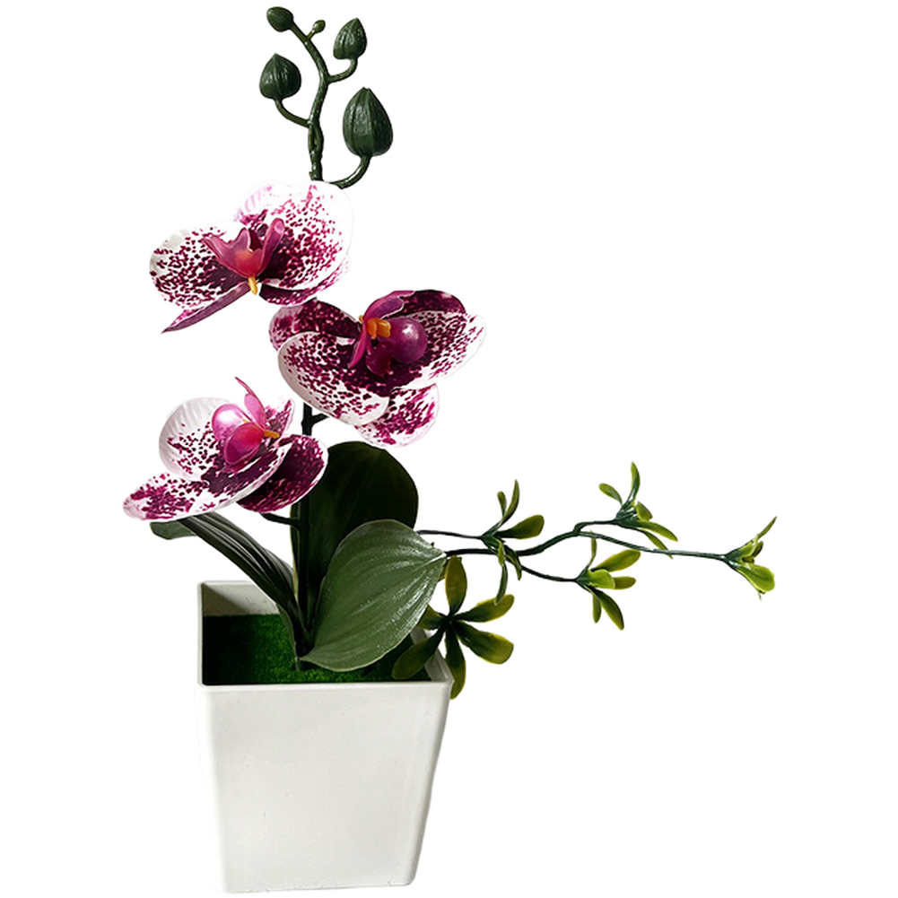 Orquídea Phalaenopsis artifici - Home Office Depot reseña y precio